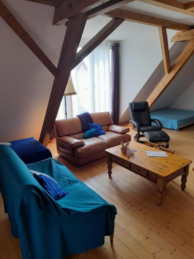Apigite68, Proche Route Des Vins, Vosges, Colmar Et Non Loin D'Europa-Park! 奥斯泰姆 外观 照片