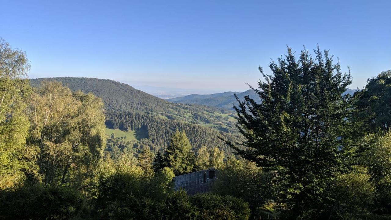Apigite68, Proche Route Des Vins, Vosges, Colmar Et Non Loin D'Europa-Park! 奥斯泰姆 外观 照片